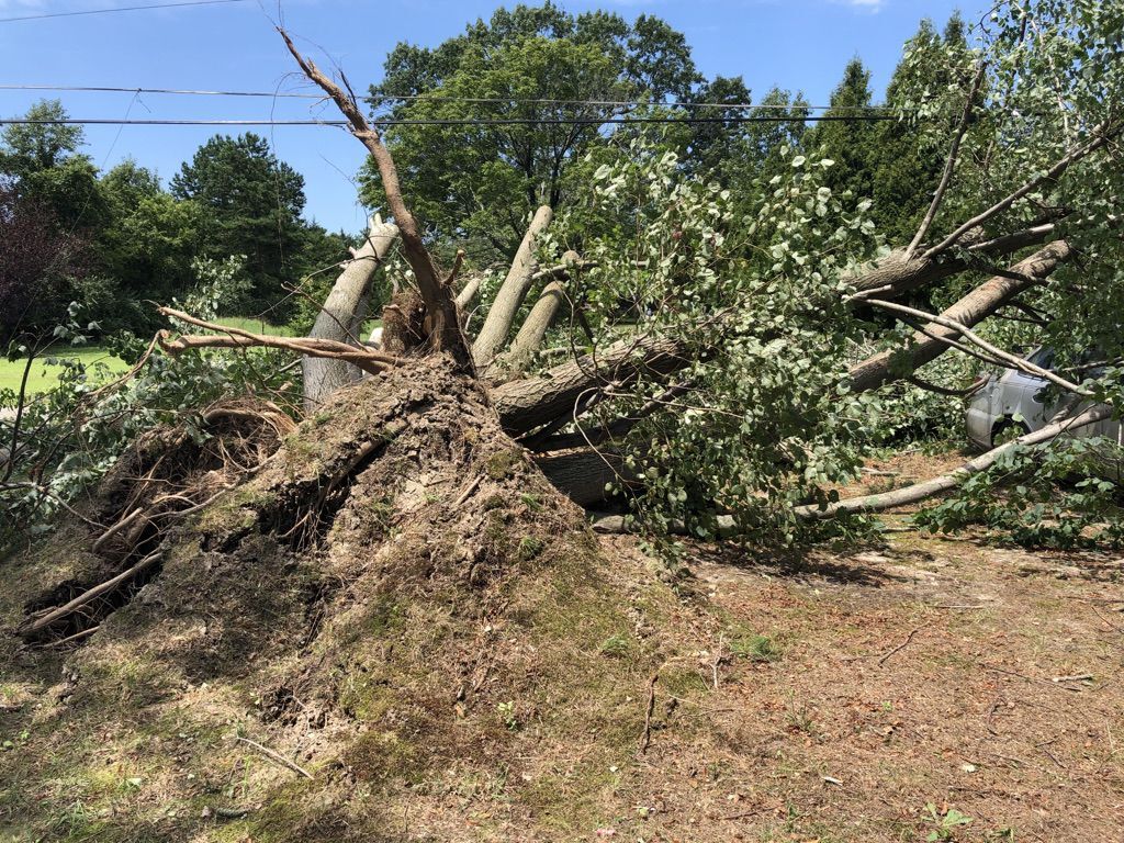 Tropical Storm Isaias aftermath in Hammonton
